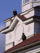 two eagles on church roof